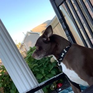 Meet your Posher, Michele